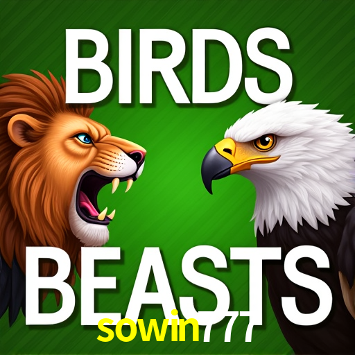 sowin777.com